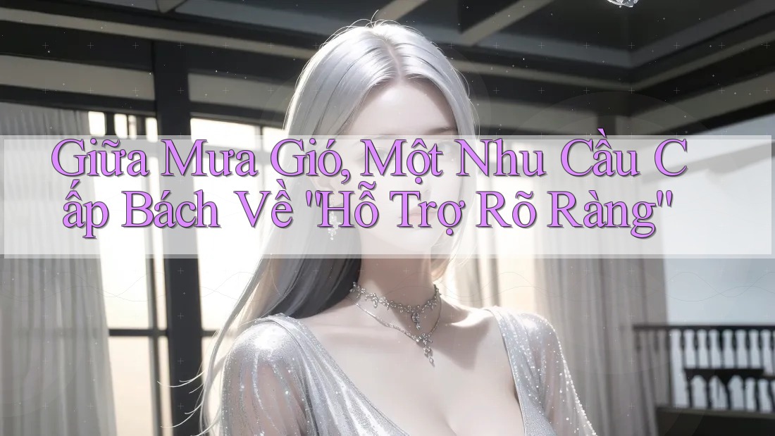 Giữa Mưa Gió, Một Nhu Cầu Cấp Bách Về “Hỗ Trợ Rõ Ràng” Giữa Mưa Gió, Một Nhu Cầu Cấp Bách Về “Hỗ Trợ Rõ Ràng”