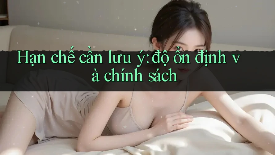 Hạn chế cần lưu ý: độ ổn định và chính sách Hạn chế cần lưu ý: độ ổn định và chính sách