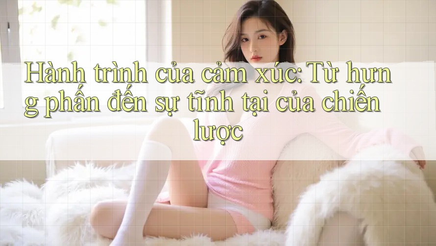 Hành trình của cảm xúc: Từ hưng phấn đến sự tĩnh tại của chiến lược