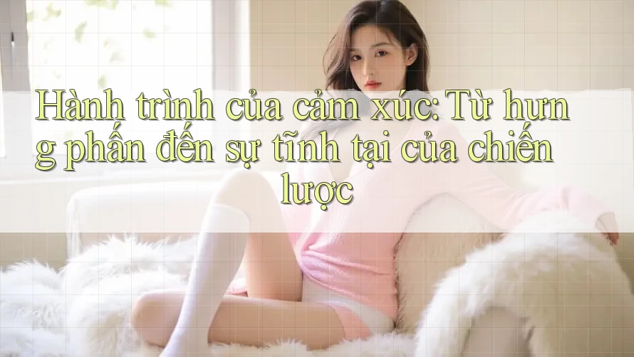 Hành trình của cảm xúc: Từ hưng phấn đến sự tĩnh tại của chiến lược