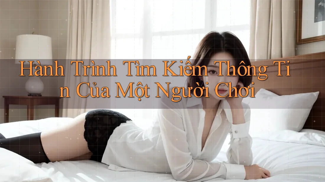 Hành Trình Tìm Kiếm Thông Tin Của Một Người Chơi