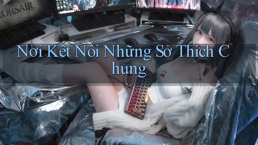 Nơi Kết Nối Những Sở Thích Chung