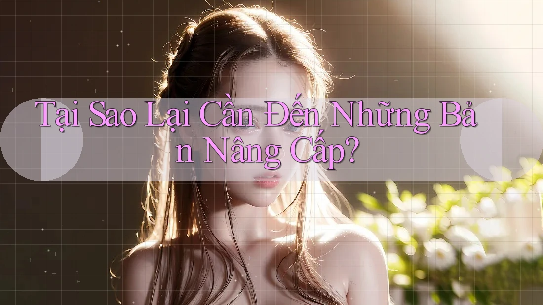 Tại Sao Lại Cần Đến Những Bản Nâng Cấp? Tại Sao Lại Cần Đến Những Bản Nâng Cấp?
