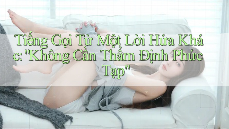 Tiếng Gọi Từ Một Lời Hứa Khác: “Không Cần Thẩm Định Phức Tạp” Tiếng Gọi Từ Một Lời Hứa Khác: “Không Cần Thẩm Định Phức Tạp”